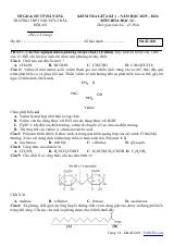 Đề thi Giữa kì 1 Hóa học 12 năm 2025-2026 trường THPT Nguyễn Trãi (Đà Nẵng)